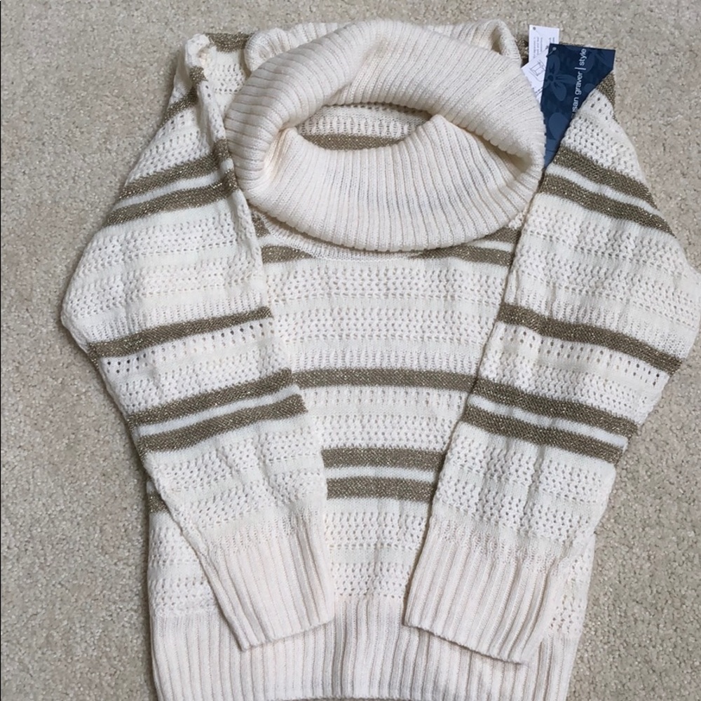 Susan Graver plush knit cowl neck sweater.